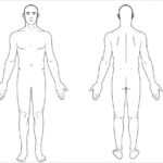11+ Free Body Diagram – Free Printable Download  Free & Premium  Intended For Blank Body Map Template