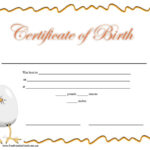 11 Free Printable Birth Certificate Templates (Word & PDF) ~ Best  For Novelty Birth Certificate Template