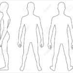 11+ Human Body Outline Templates  DOC, PDF  Free & Premium Templates In Blank Body Map Template