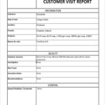 11+ Sample Visit Reports – PDF, Word, Apple Pages Pertaining To Customer Visit Report Format Templates