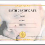 Cabbage Patch Doll Birth Certificate Template  Vincegray11 For Baby Doll Birth Certificate Template