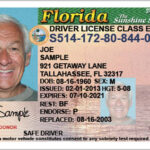 Create Drivers License Template (Page 11) – Line.111QQ