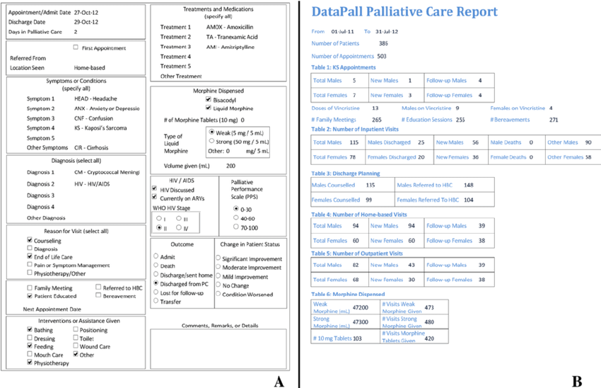 DataPall sample reports With Patient Care Report Template