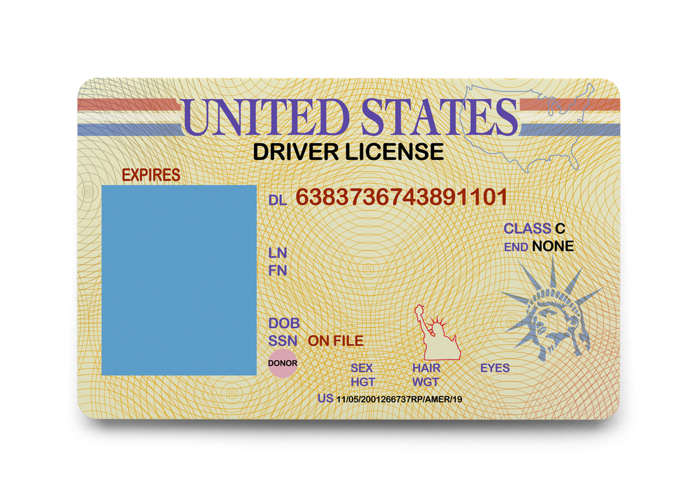 Driver License Template Free – Investmentsnew Within Blank Drivers License Template
