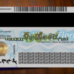 Florida Drivers License Template Psd (multi Templates) For Florida Id Card Template