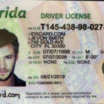 Florida Fake ID Driver License FL Scannable ID Card  IDscard