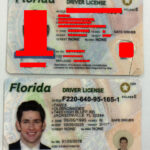 Florida(New FL) - Old Iron Sides Fakes Best & Fast Fake ID  With Regard To Florida Id Card Template