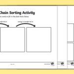 Food Chain Sorting Activity Within Blank Food Web Template