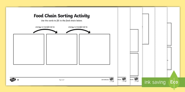 Food Chain Sorting Activity Within Blank Food Web Template Throughout Blank Food Web Template