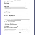 Form I 11 Birth Certificate Translation  Vincegray11 In Uscis Birth Certificate Translation Template