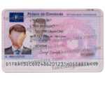 France Driver Licence Template – Fake French Driving Licence Throughout Blank Drivers License Template