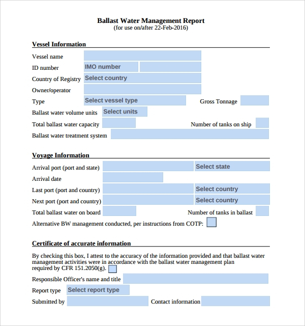 FREE 11+ Management Report Templates In PDF  MS Word  Apple Pages Within It Management Report Template