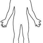 Free Blank Person Outline, Download Free Clip Art, Free Clip Art  In Blank Body Map Template