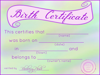 free printable doll birth certificate For Baby Doll Birth Certificate Template Pertaining To Baby Doll Birth Certificate Template