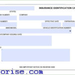Geico Insurance Pay Bill By Phone In Proof Of Insurance Card Template