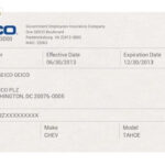 Geico Insurance Pay Bill Pertaining To Free Fake Auto Insurance Card Template