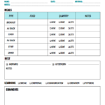 Infant & Toddler Daily Reports – Free Printable  HiMama Within Preschool Weekly Report Template