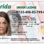 Latest Florida Driver’s License PSD Template – VCCKing
