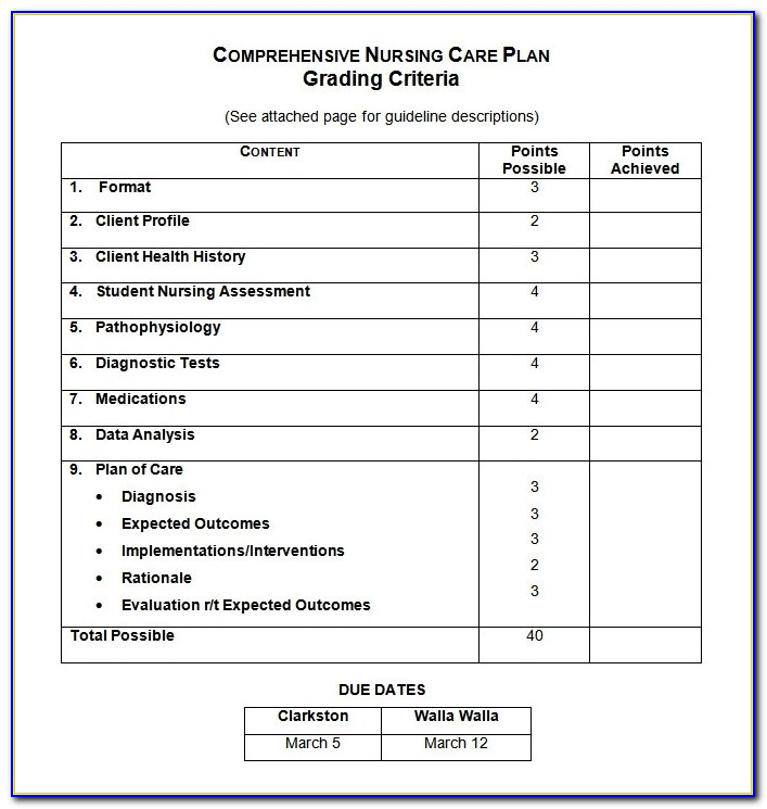 Nursing Care Plan Templates 11 Free Word, Excel, Pdf Documents  In Nursing Care Plan Templates Blank