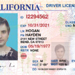 Premium Documents PSD Templates: California Drivers License  Pertaining To Blank Drivers License Template