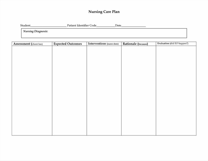 Solved: Nursing Care Plan Student Patient Identifier Code  With Regard To Nursing Care Plan Templates Blank Inside Nursing Care Plan Templates Blank