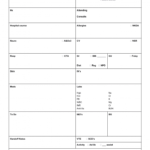 Template : Nursing Report Sheet Template Nursejanx Inside Report  In Nurse Report Sheet Templates