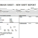 The 11 Best Nurse Brain Sheets – Scrubs  The Leading Lifestyle  Throughout Nurse Shift Report Sheet Template