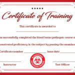 Training Certificate Template Archives - Page 11 of 11 - Template Sumo For Army Certificate Of Completion Template