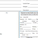 Ultimate Nursing Brain Sheet Database + Downloads  NURSING
