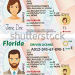 Vector Template Sample Driver License Plastic Stock Vector  Pertaining To Florida Id Card Template