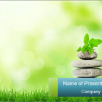 Zen Practise PowerPoint Template & Infographics Slides Intended For Presentation Zen Powerpoint Templates